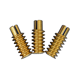 Brass Alloy Worm Gear