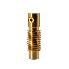 Brass Alloy Worm Gear